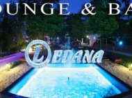 Lounge bar Ledana